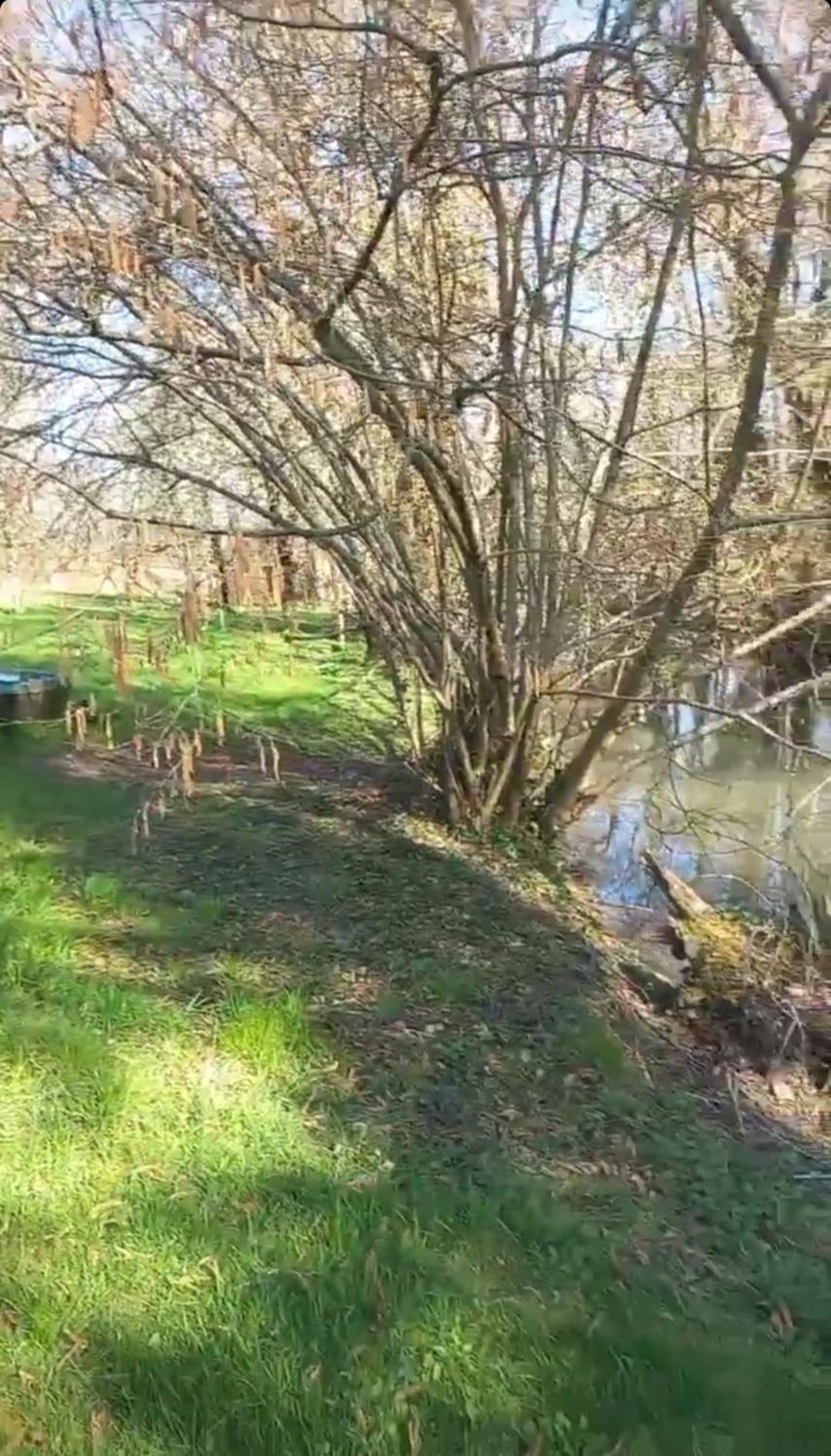 Hotel Coul'O'Berge Coulanges-les-Nevers Zewnętrze zdjęcie